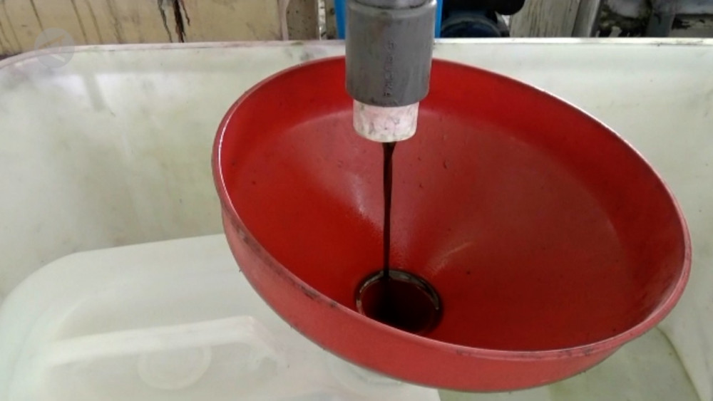 Manfaatkan buah Tamanu,&nbsp;Pemdes Panggungharjo Bantul berdayakan warga desa - ANTARA News