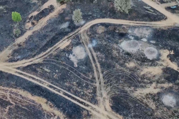 Dampak buruk kebakaran hutan di Spanyol, rumah dan lahan hangus