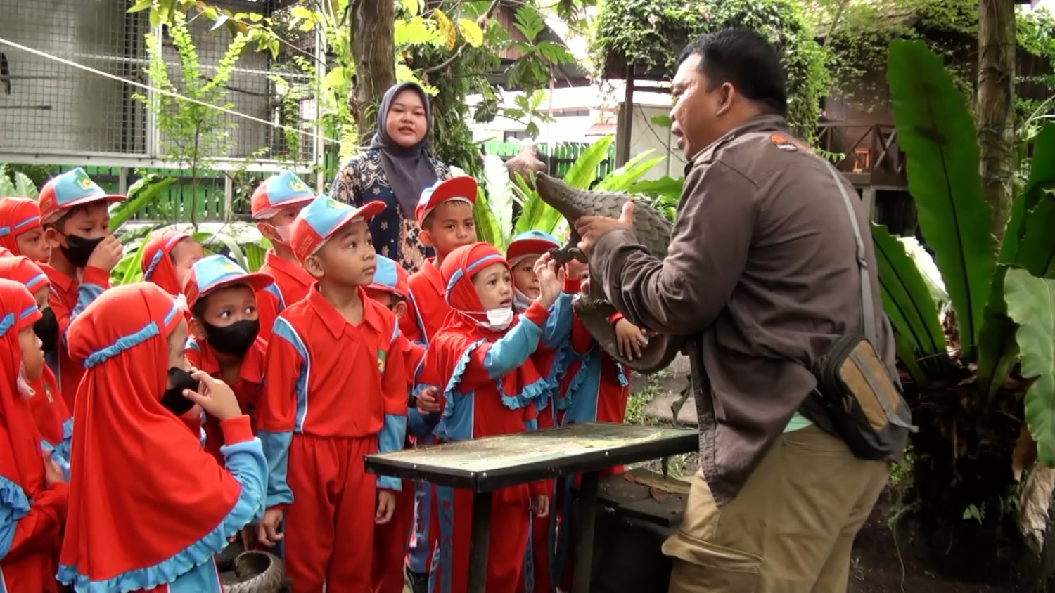 BKSDA Kalteng edukasi pelajar cintai satwa sejak dini