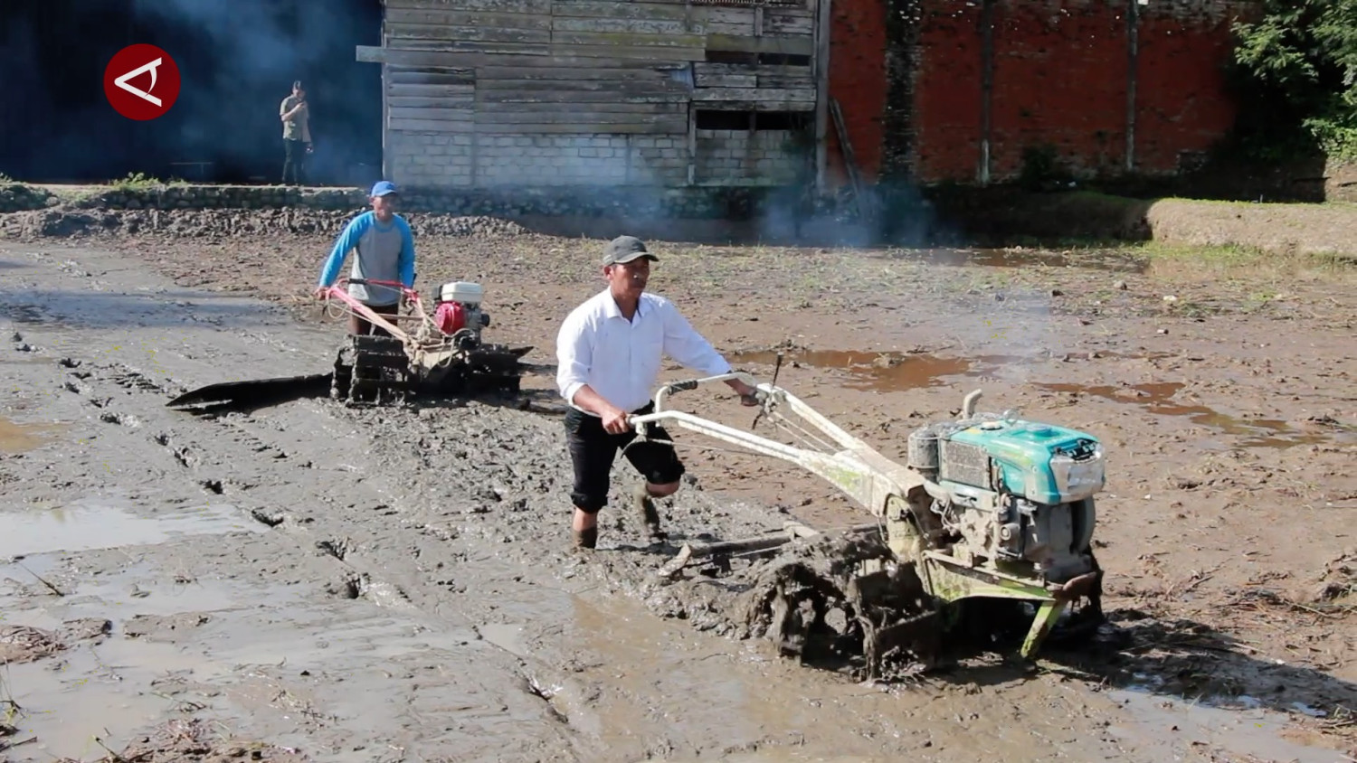 70 persen lahan terdampak bencana di Sumbar rampung dipulihkan
