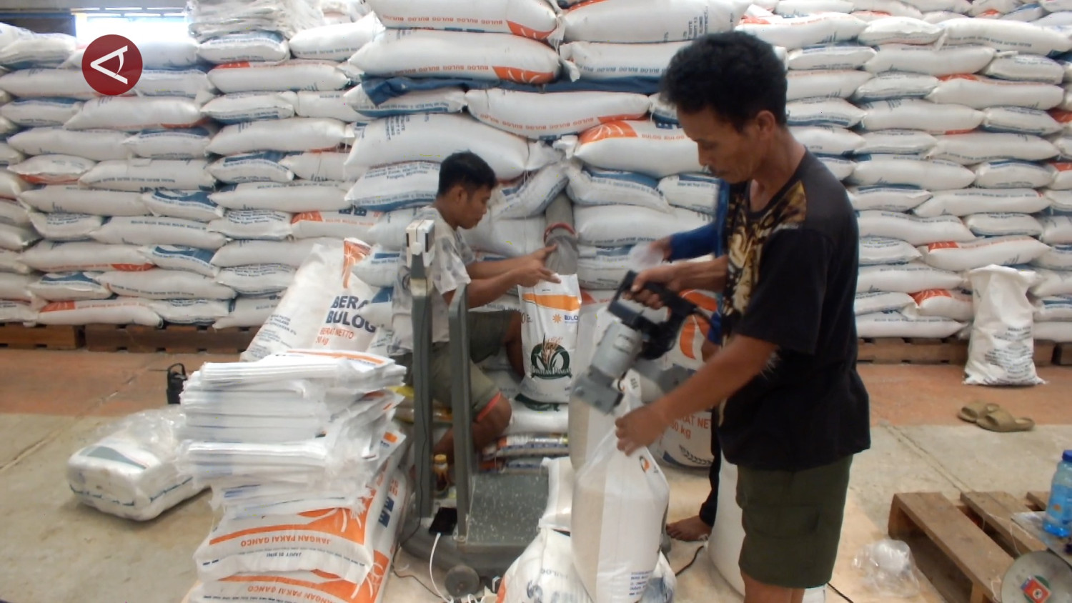 Bulog Bangka: Penyerapan gabah kering panen lampaui target setahun