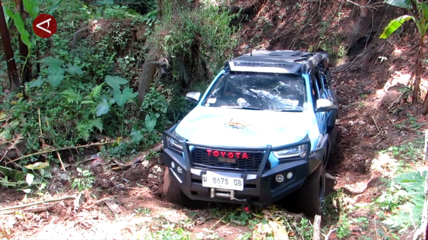 Offroad 4x4 Jember, 175 peserta taklukkan medan hutan
