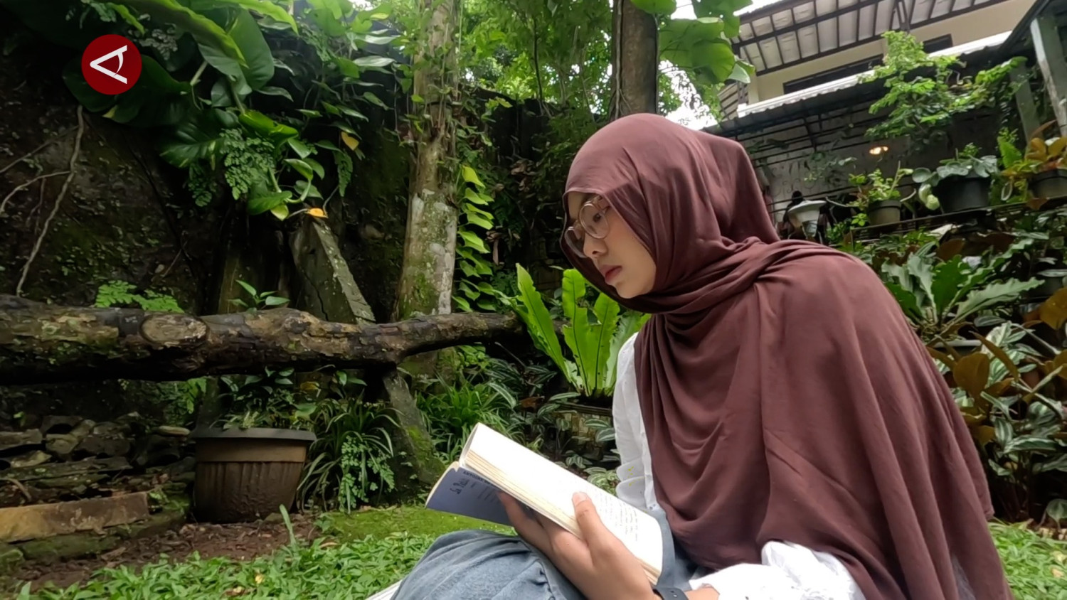Rumah baca bonus ASMR aliran sungai ada di Bogor