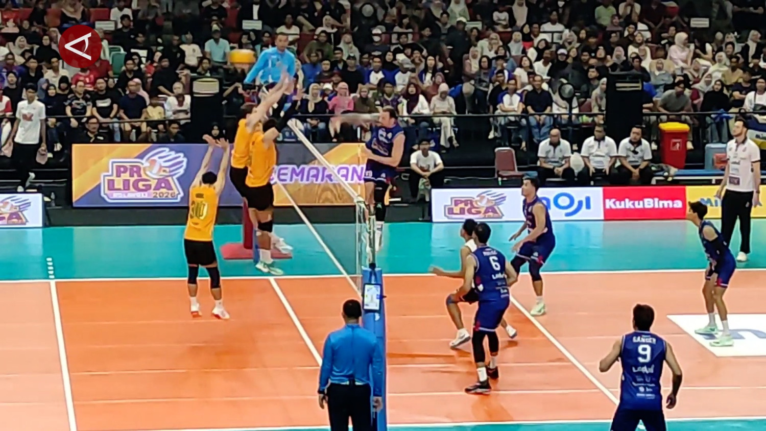 LavAni dan Pertamina Enduro juarai Final Four Proliga putaran kedua