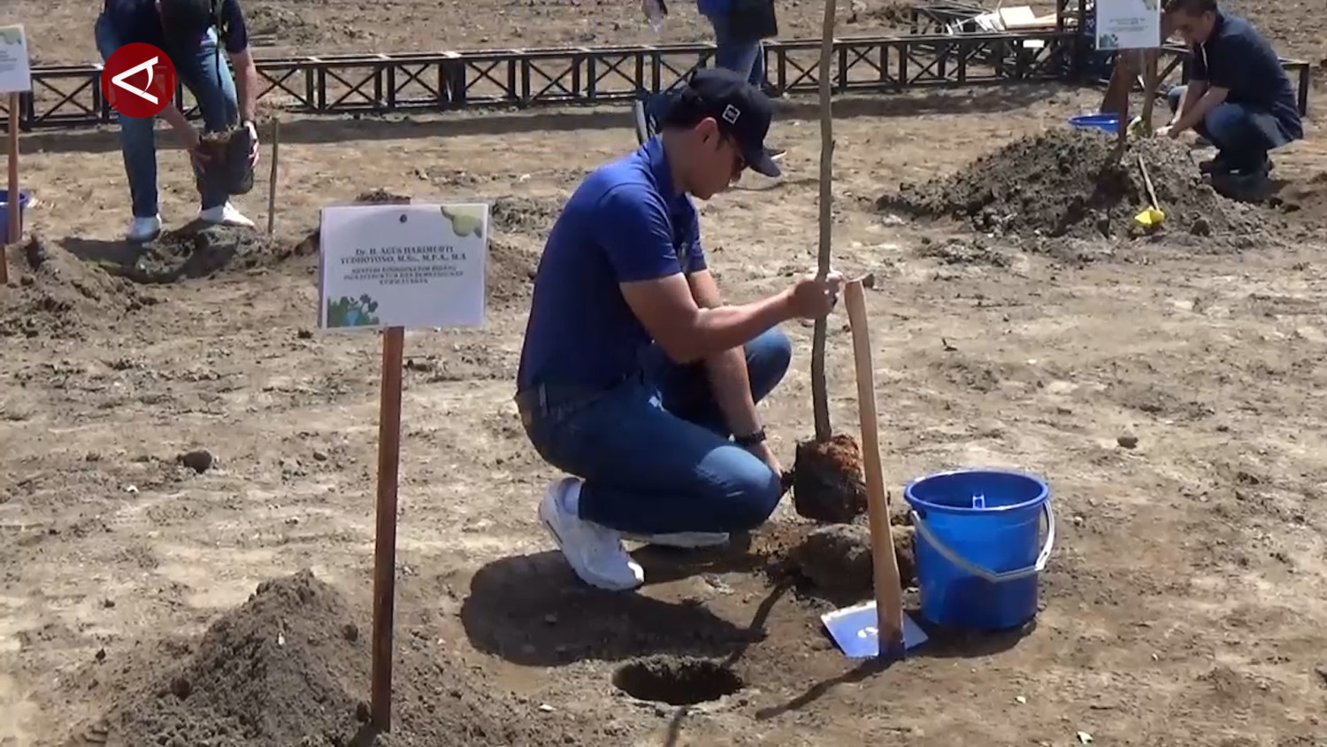 Menko AHY tanam Trembesi di ruas tol Prambanan-Purwomartani