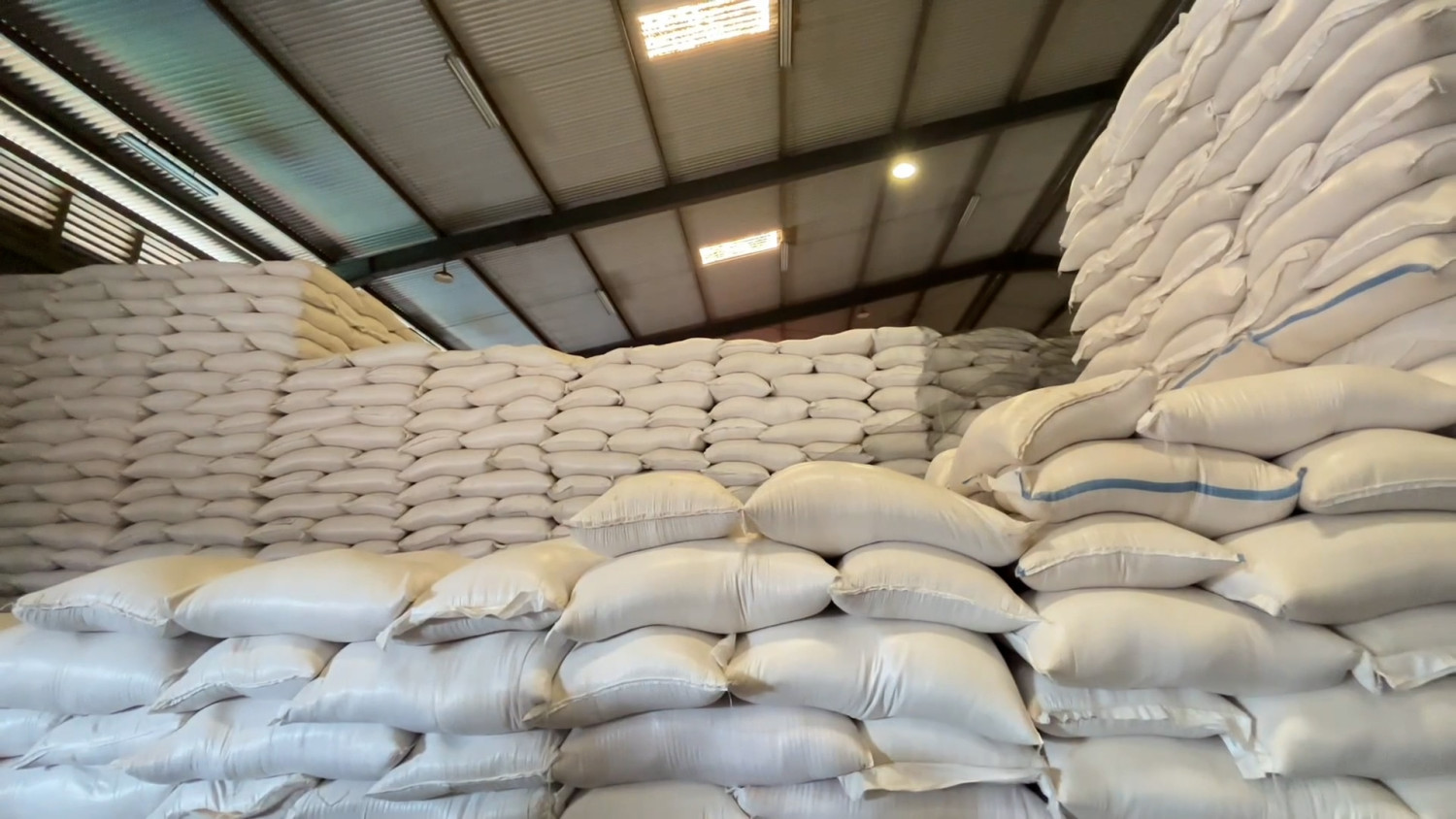 Bulog Sulselbar siapkan 11 titik gudang baru perkuat cadangan pangan