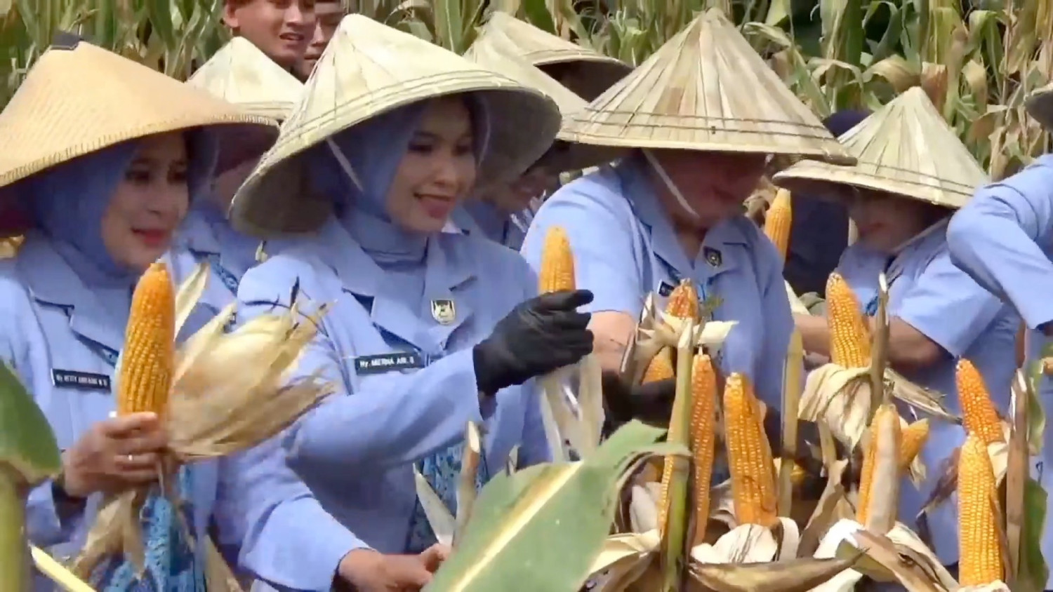 Harga jagung Sulsel tembus Rp7.000, Bulog siapkan penyaluran SPHP