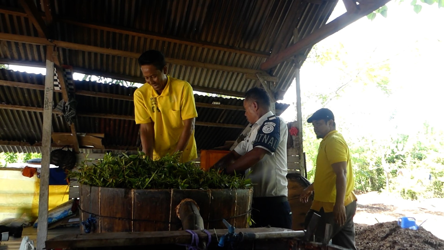 Lapas Namlea optimalkan potensi kayu putih Pulau Buru