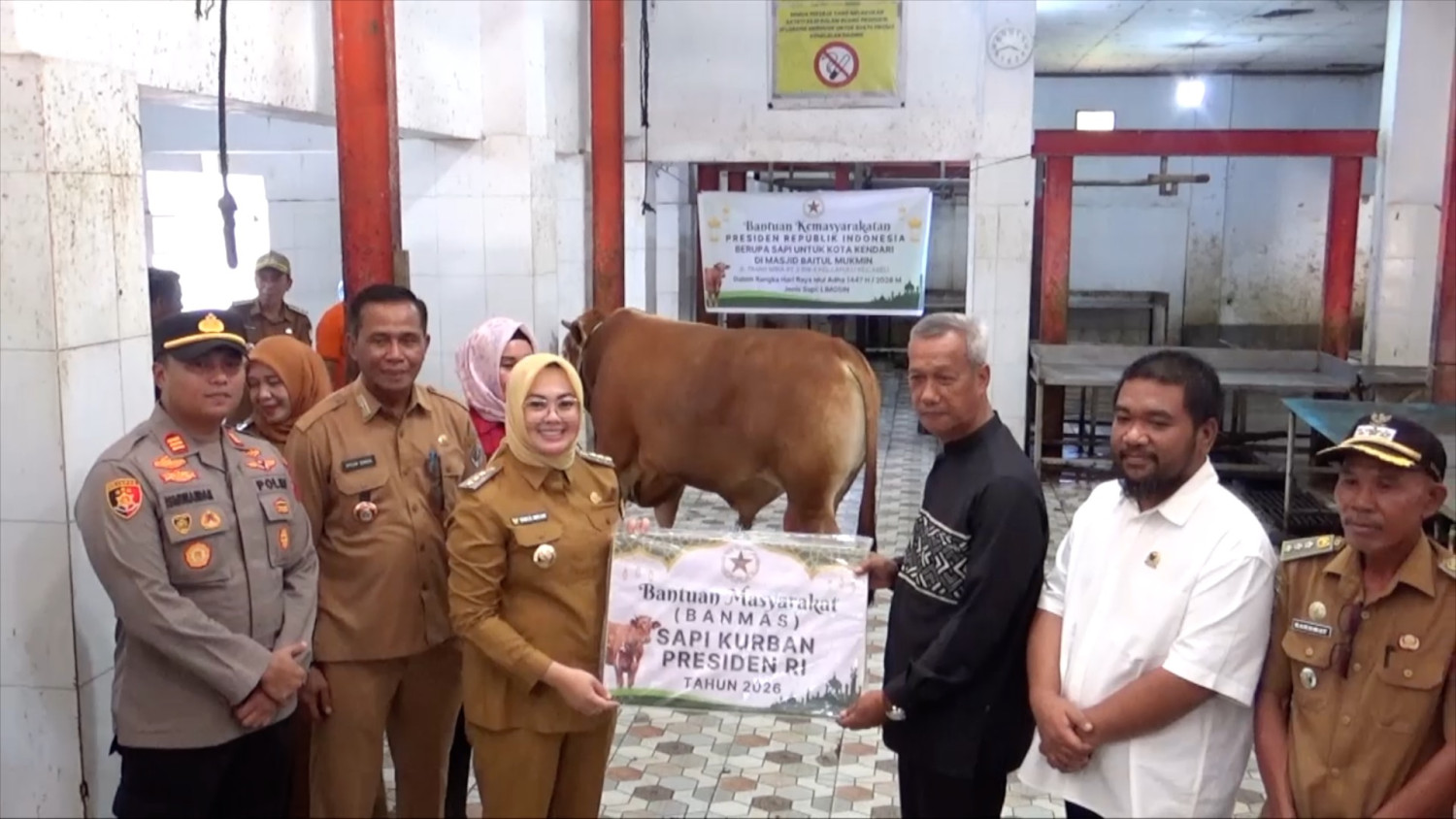 Presiden kirim sapi limousin 940 kg untuk masyarakat Kendari