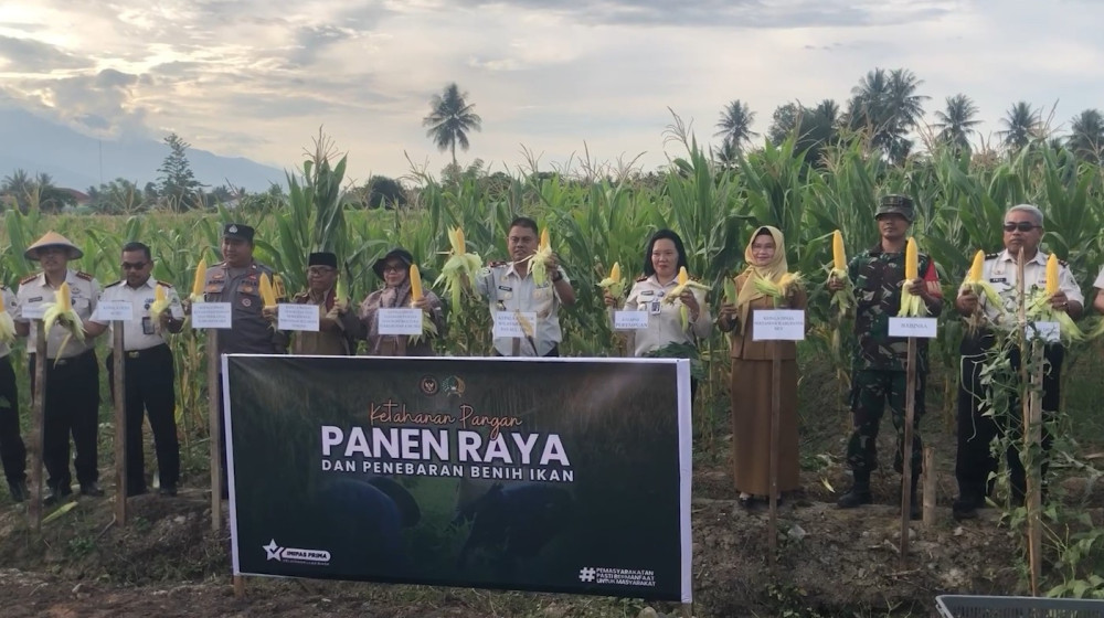 Panen raya jagung, cara Lapas Perempuan Palu upayakan ketahanan pangan