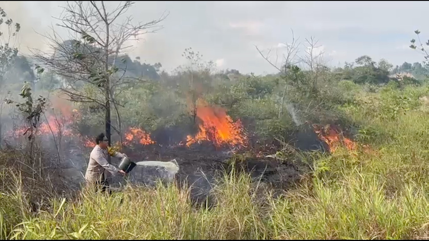 Tarakan Kaltara rawan karhutla, warga tak boleh buka lahan tanpa izin