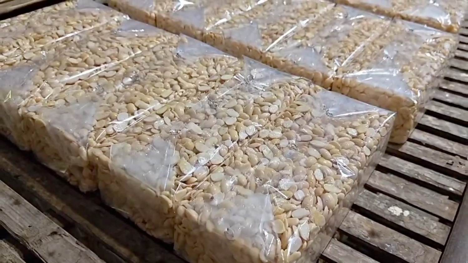 Tempe hadapi krisis ganda, lonjakan plastik dan kedelai